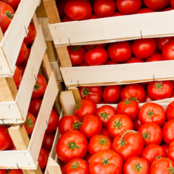 Fruits et légumes locaux