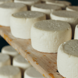 Nos produits laitiers locaux