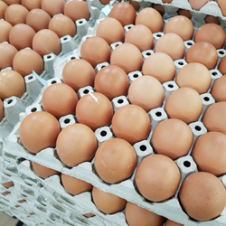 Nos produits locaux en épicerie salée